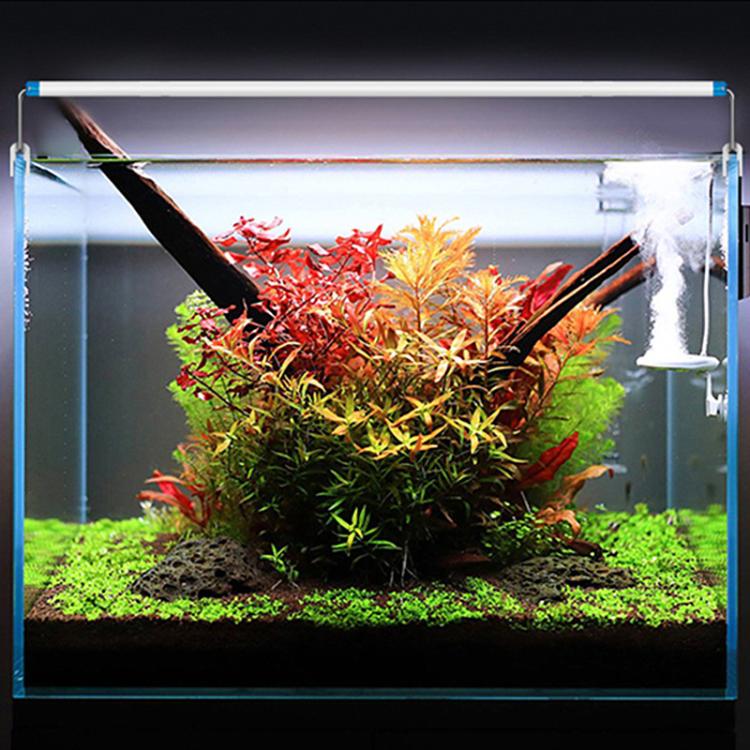 Ultra-Thin Aquarium LED Light With 4 Rows Of 5730 LEDs 28cm Blue+White Light