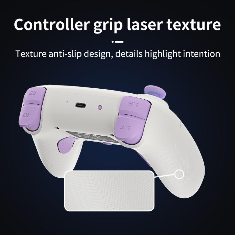 ANBERNIC RGP01 Multi-Platform Gaming Controller for PC/Switch/Steam With Hall Effect Joystick & Triggers, 3-Mode Connectivity, RGB Black