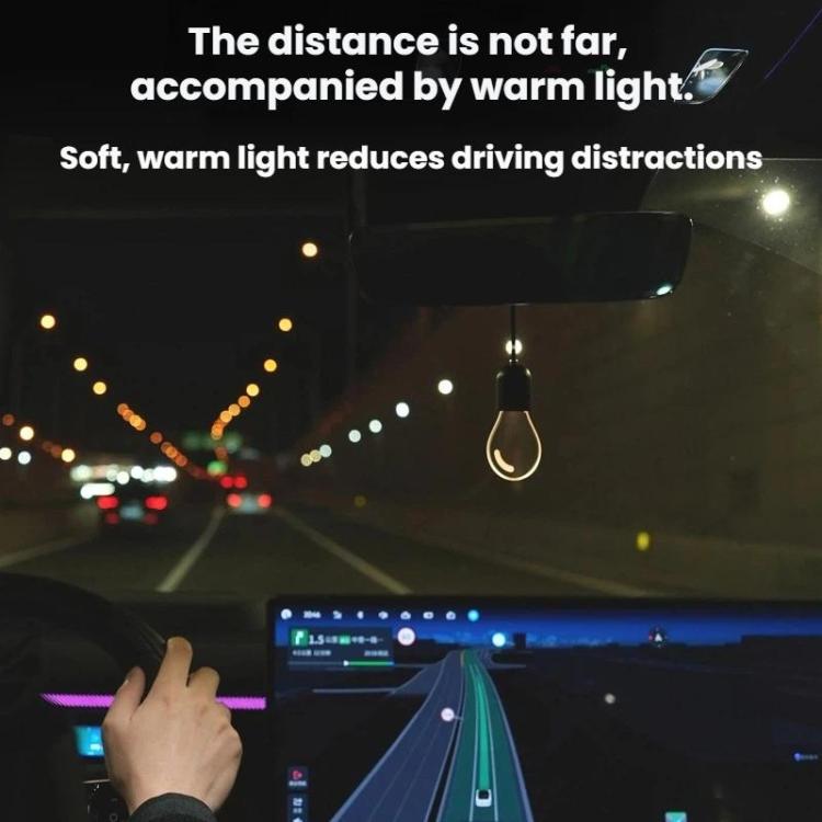 LED Light Bulbs Car Pendant LED Ambient Lights - DP01