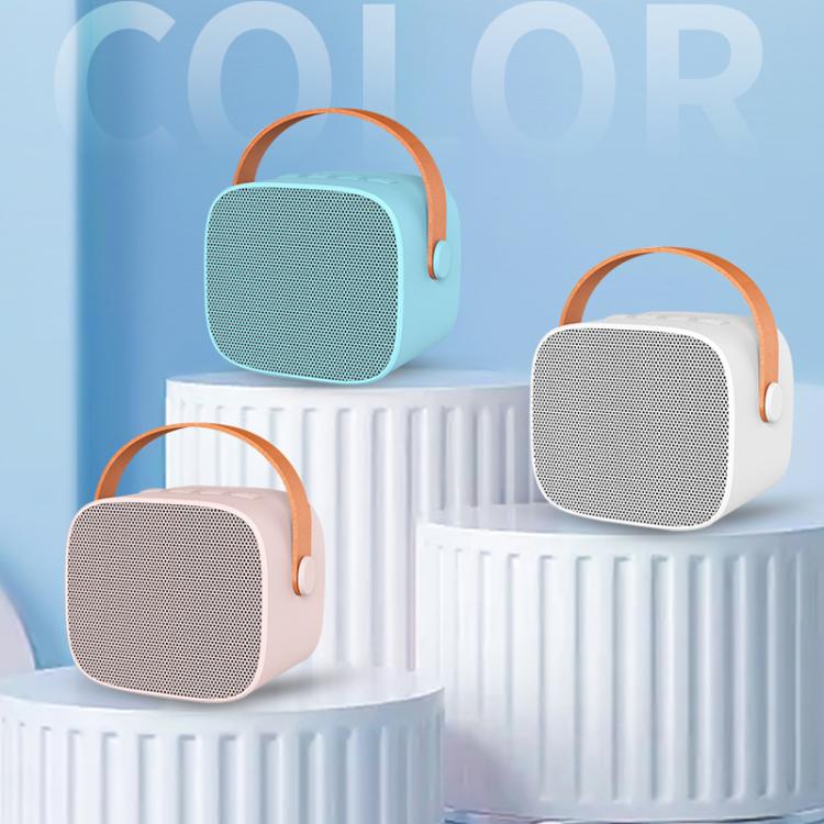 Portable Bluetooth Speaker With Detachable Microphone Kids Family Karaoke Set, Color: White Dual Mic