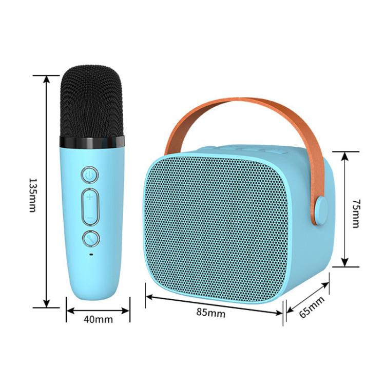 Portable Bluetooth Speaker With Detachable Microphone Kids Family Karaoke Set, Color: White Dual Mic