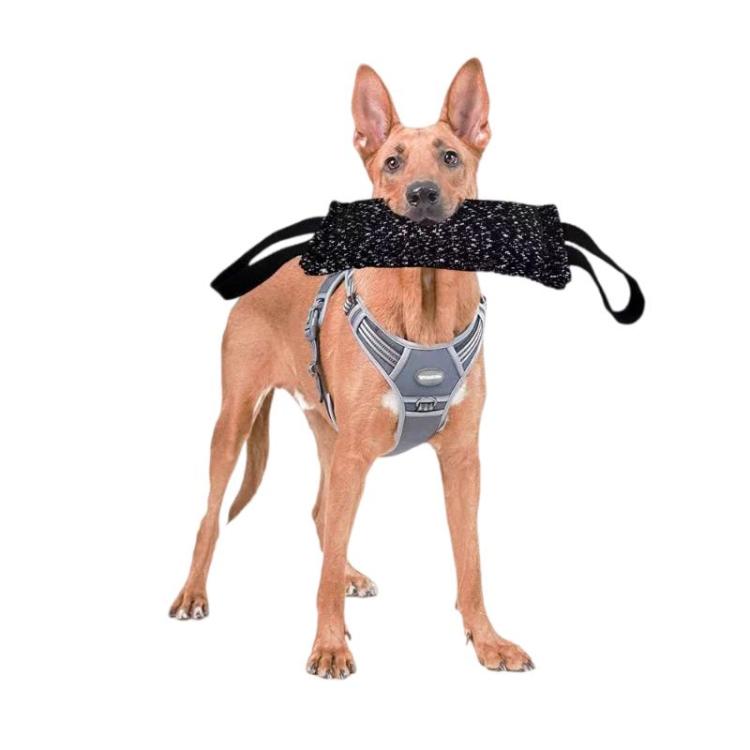 Pet Chew Toys Hemp Sticks Dog Training Supplies, Size: 30cm Chew Toy