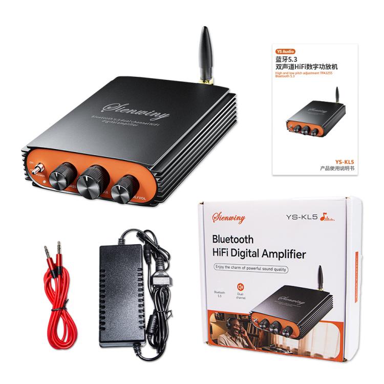 Sienwiny YS-KL5 Bluetooth 5.3 Dual-Channel TPA3255 Chip 600W High-Power HiFi Digital Amplifier US Plug