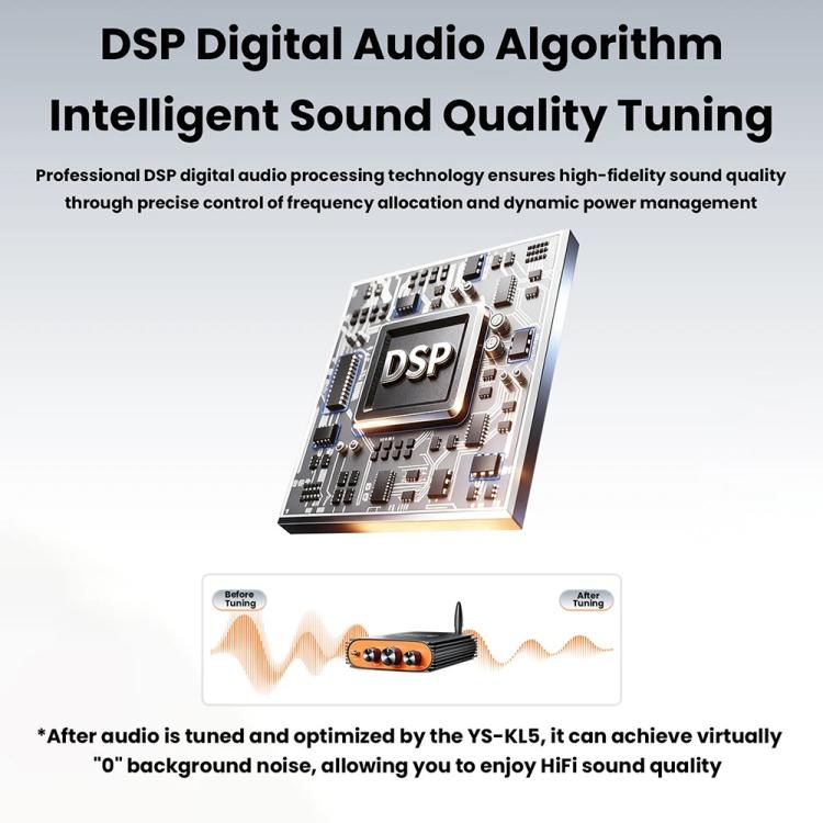 Sienwiny YS-KL5 Bluetooth 5.3 Dual-Channel TPA3255 Chip 600W High-Power HiFi Digital Amplifier EU Plug