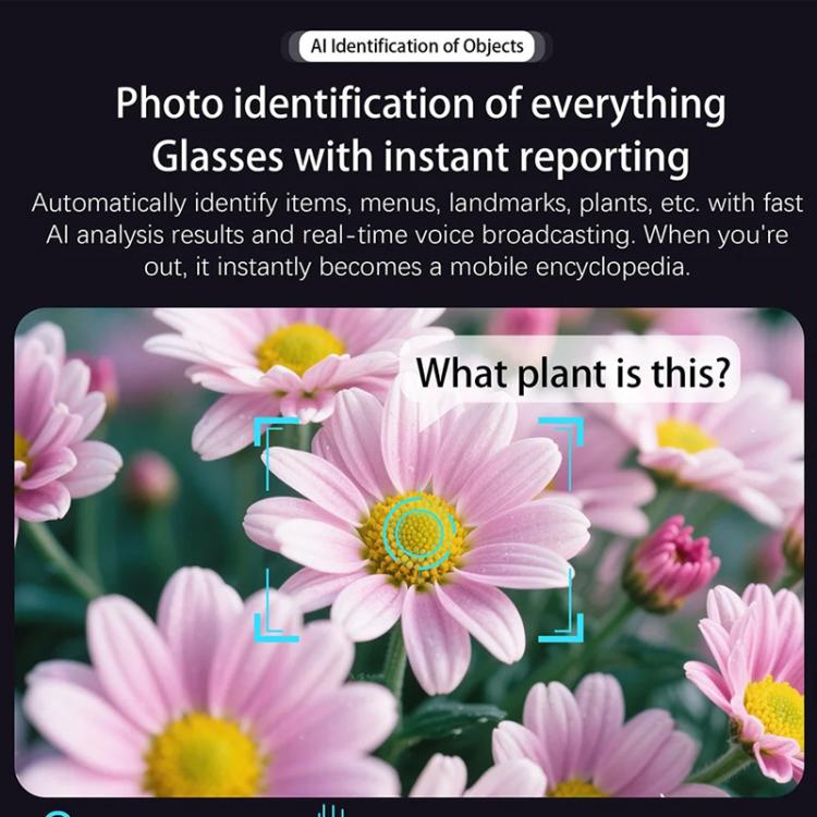 M02S Smart Glasses with 8MP HD Camera, 1080P Video, AI Voice Assistant, Recording, Translation Transparent