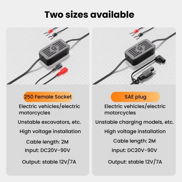 Kewig KWG-JY 20-90V To 12V Electric Vehicle Power Regulator Modified Car Charger Terminals, Style: 250 Female Socket
