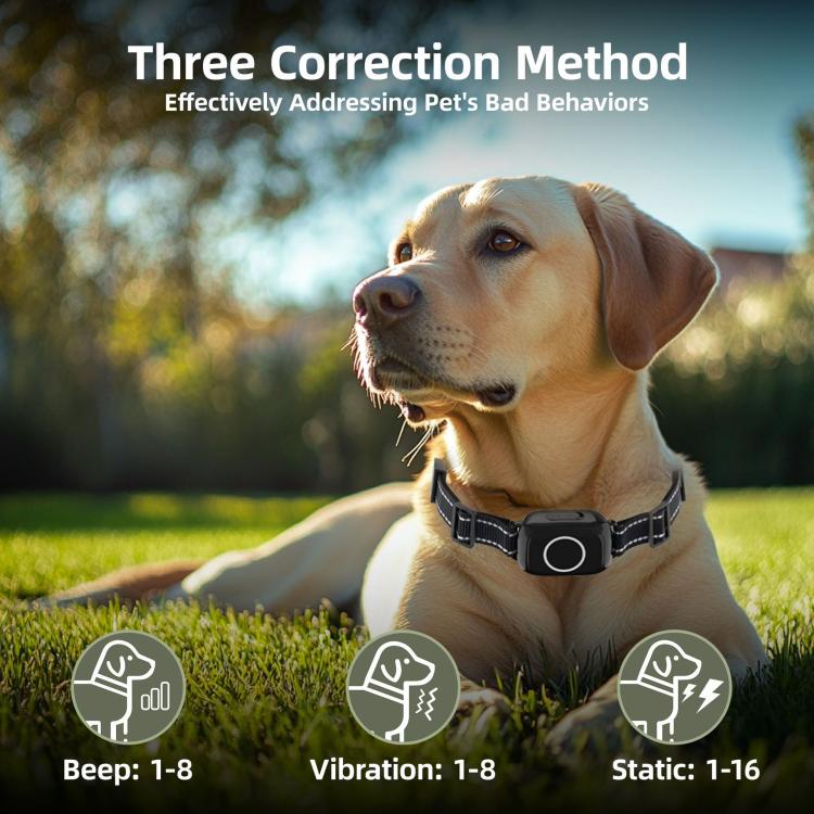 T800S 3-In-1 Remote Dog Trainer Bark Collar With Two-Way Communication Displays Dog Status & Activity Monitor - Black