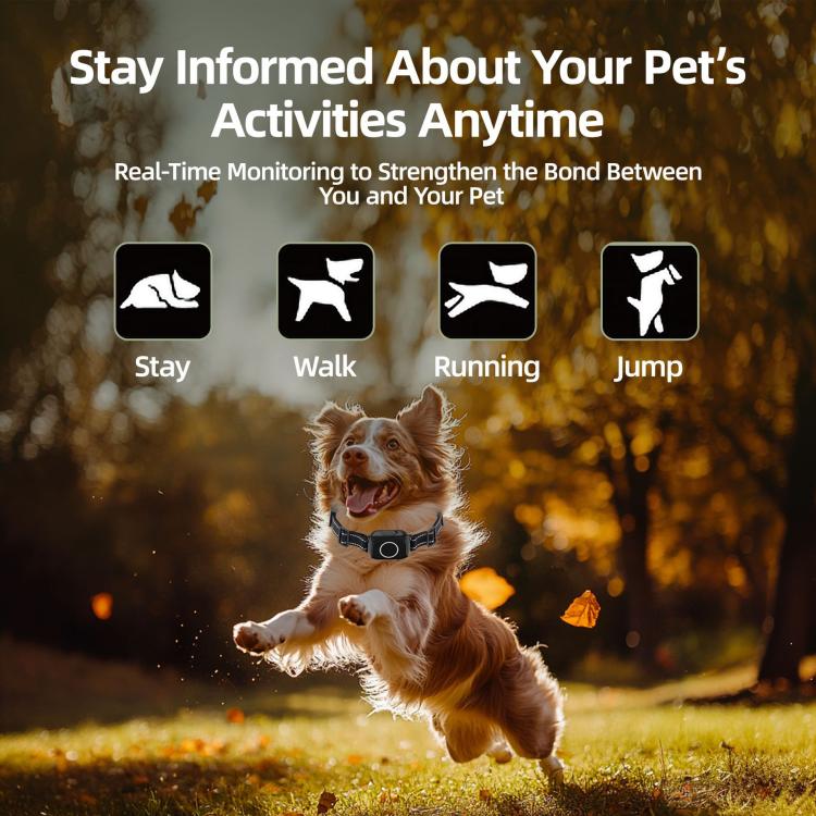 T800S 3-In-1 Remote Dog Trainer Bark Collar With Two-Way Communication Displays Dog Status & Activity Monitor - Black