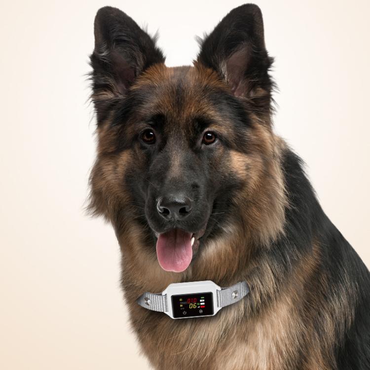 B800 Smart Anti-Bark Collar Electric Shock Dog Trainer With Color Screen & Anti-False Trigger, IP68 Waterproof, Magnetic Charging