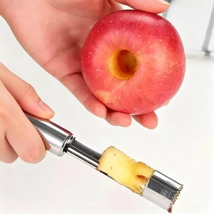LsCook Medium 1.2cm 304 Stainless Steel Fruit Corer Hawthorn Pitter