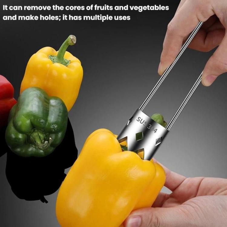 LsCook 304 Stainless Steel Corer Fruit Hole Digger - Color Box Packaging