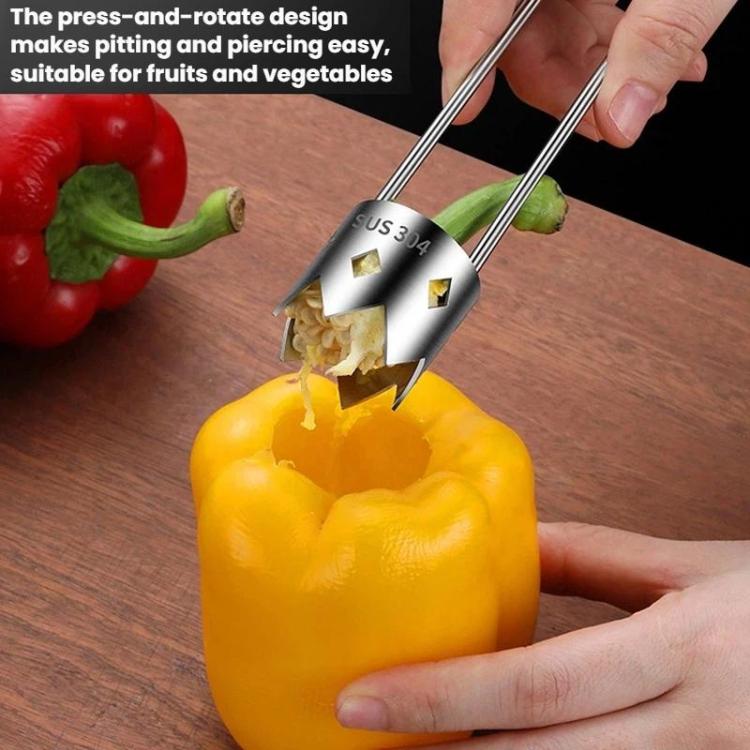 LsCook 304 Stainless Steel Corer Fruit Hole Digger - Color Box Packaging