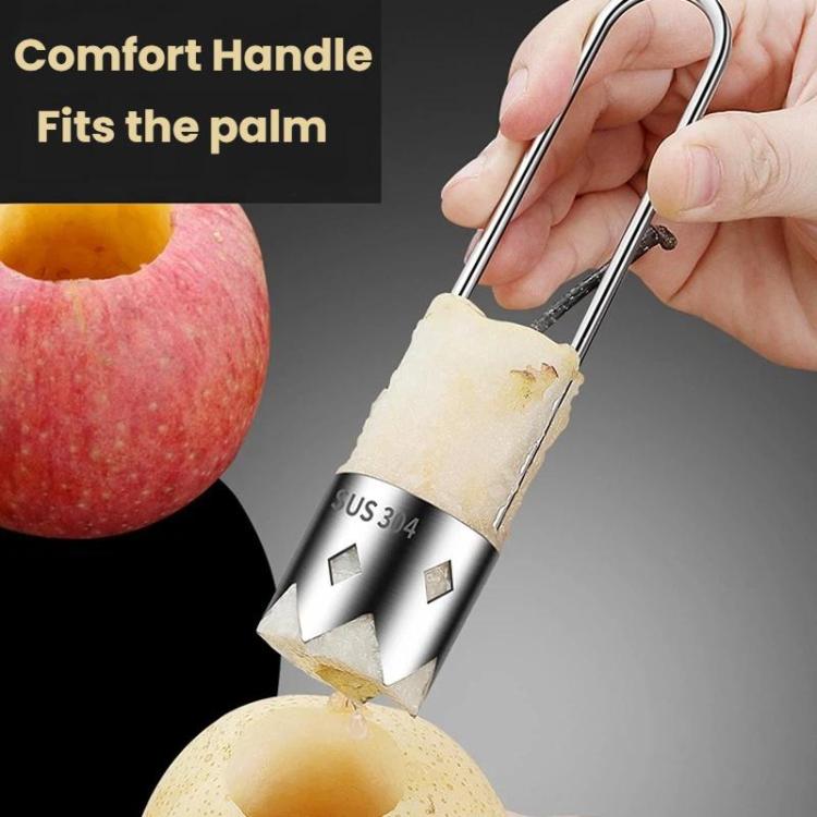 LsCook 304 Stainless Steel Corer Fruit Hole Digger - Color Box Packaging