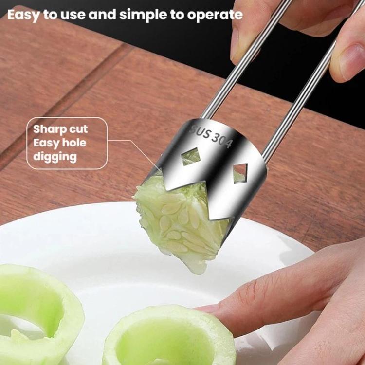LsCook 304 Stainless Steel Corer Fruit Hole Digger - Color Box Packaging
