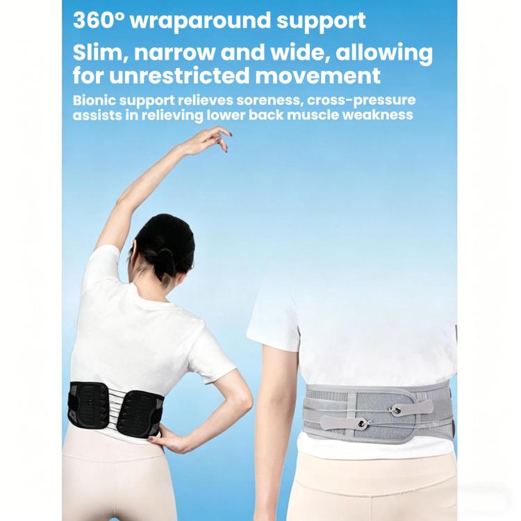 Adjustable Breathable Mesh Lumbar Support Belt With Double Pulleys, Size: M