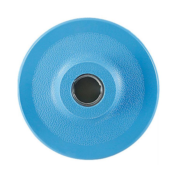 Wet / Dry Grinding Discs Stone Polishing Discs Self-Adhesive Disc Adapters, Spec: 8cm M16 Hole Blue