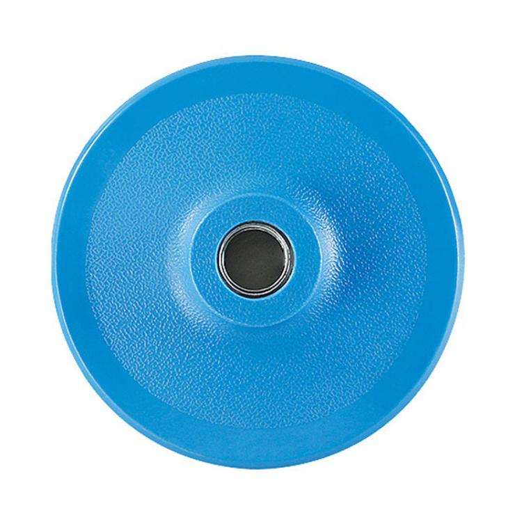 Wet / Dry Grinding Discs Stone Polishing Discs Self-Adhesive Disc Adapters, Spec: 10cm M16 Hole Blue