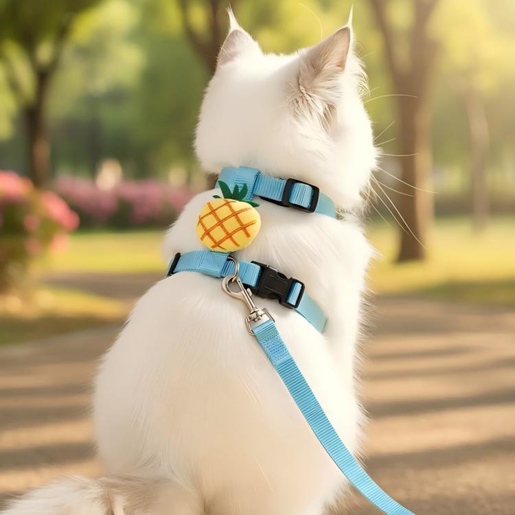Dog Portable Leash Cat Harness Pet Walking Leash, Size: M