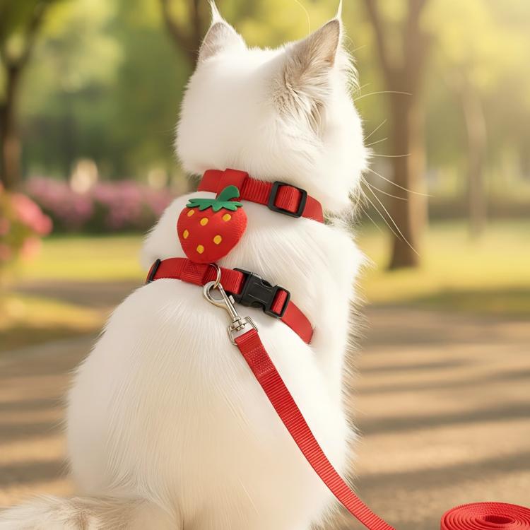Dog Portable Leash Cat Harness Pet Walking Leash, Size: M