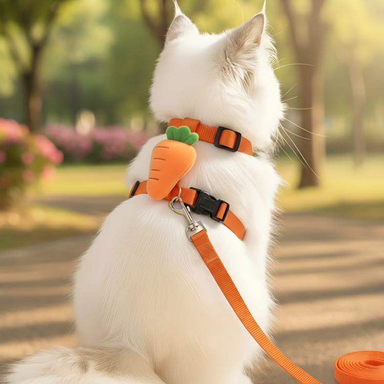 Dog Portable Leash Cat Harness Pet Walking Leash, Size: M