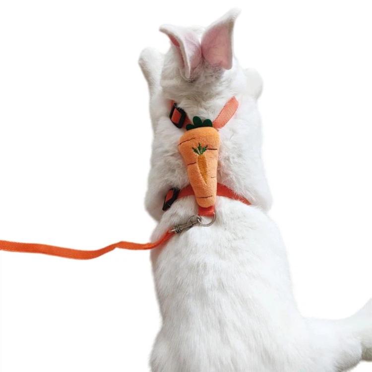 Dog Portable Leash Cat Harness Pet Walking Leash, Size: M