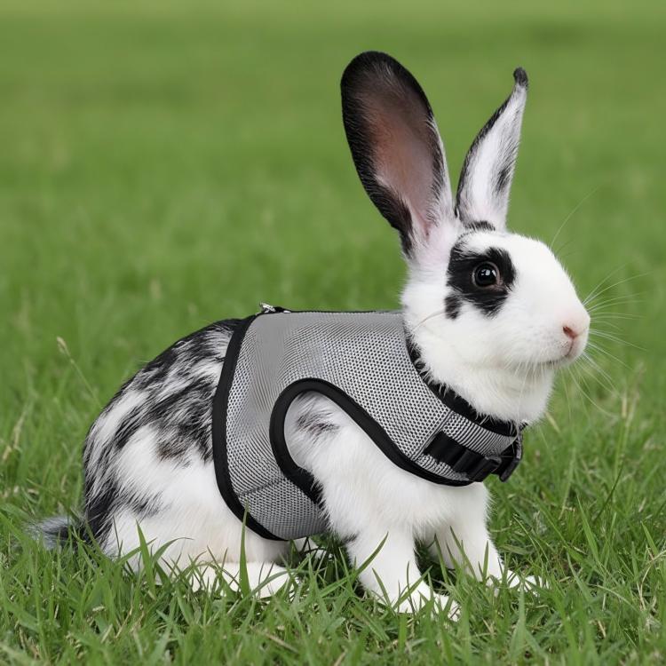 Rabbit Ferret Harness & Leash Small Pet Vest-Style Harness Leash, Size: L