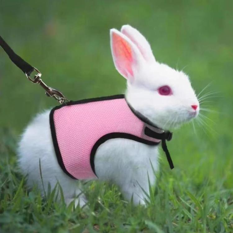 Rabbit Ferret Harness & Leash Small Pet Vest-Style Harness Leash, Size: S