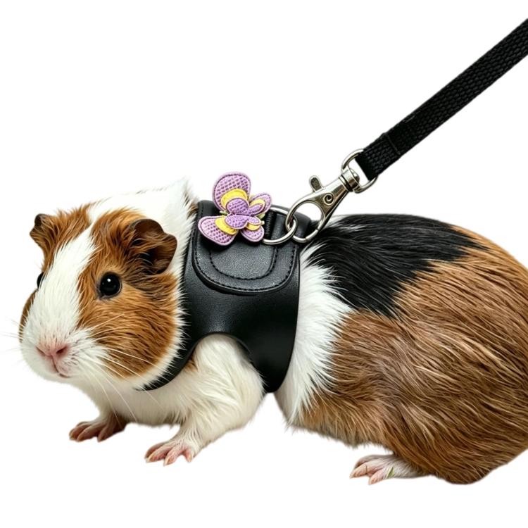 Guinea Pig Chinchilla Harness, Outdoor Walking Leash For Small Pets, Spec: Black S