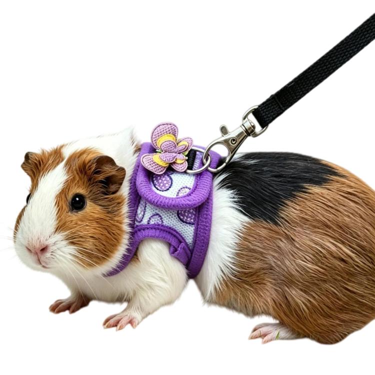 Guinea Pig Chinchilla Harness, Outdoor Walking Leash For Small Pets, Spec: Purple S