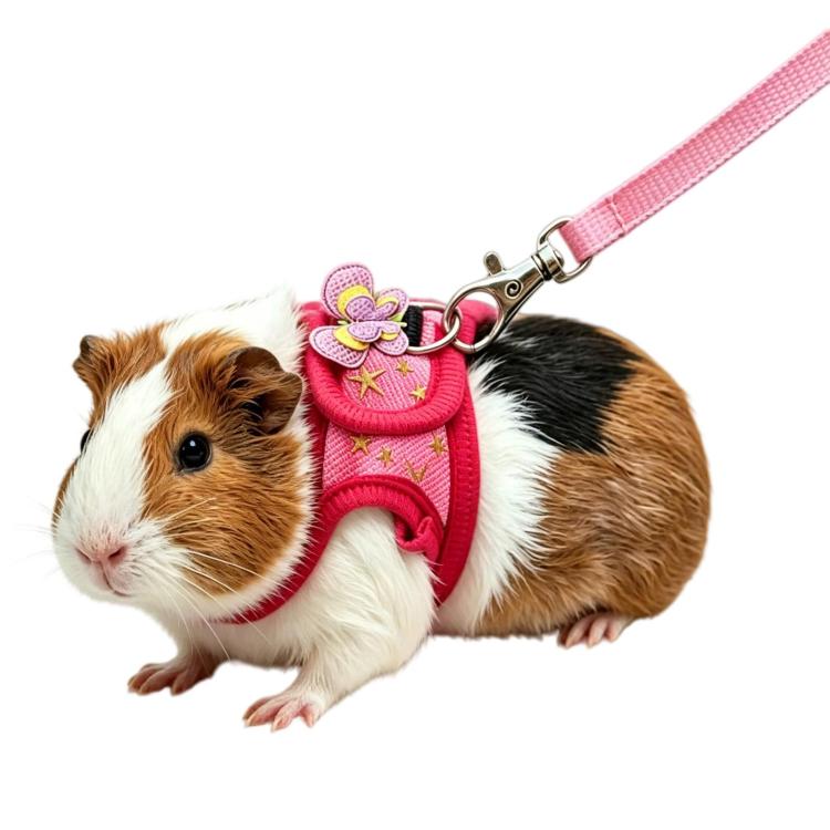 Guinea Pig Chinchilla Harness, Outdoor Walking Leash For Small Pets, Spec: Star M