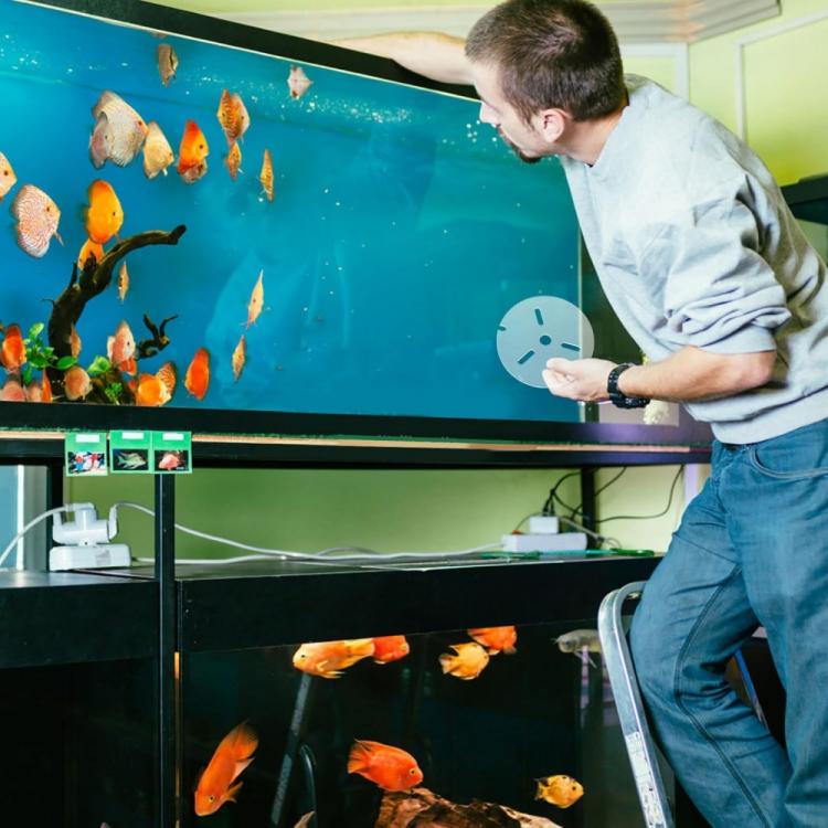Acrylic Reptile Aquarium Anti-jump Cover With Holes - 2pcs