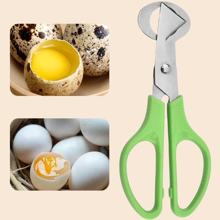 LsCook Quail Egg Scissors Stainless Steel Egg Cutter - Green