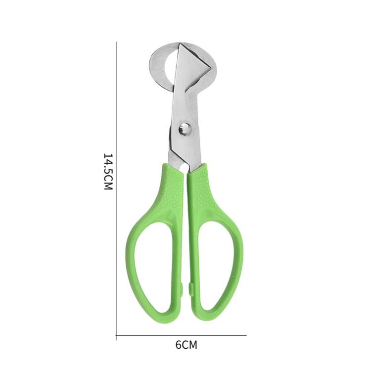 LsCook Quail Egg Scissors Stainless Steel Egg Cutter - Green