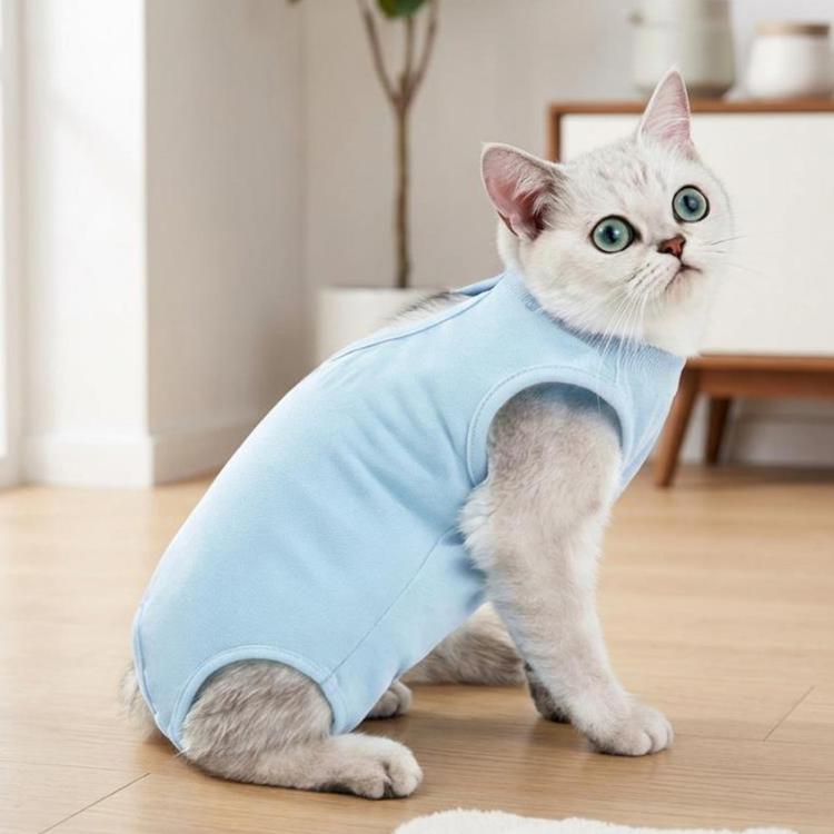 Summer Elastic Breathable Cat Surgery Suit, Pets Lick-Proof Cool Postoperative Recovery, Spec: M Blue