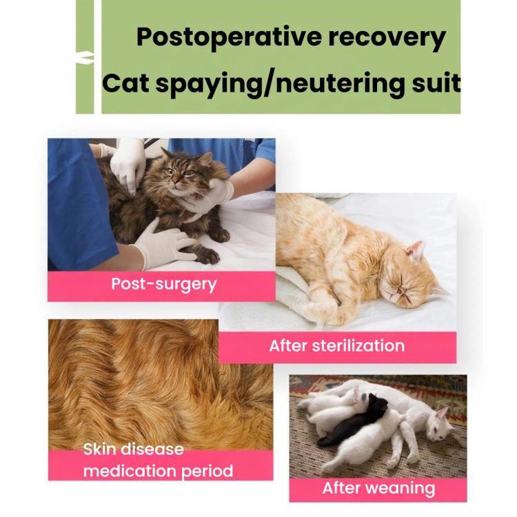 Summer Elastic Breathable Cat Surgery Suit, Pets Lick-Proof Cool Postoperative Recovery, Spec: S Blue