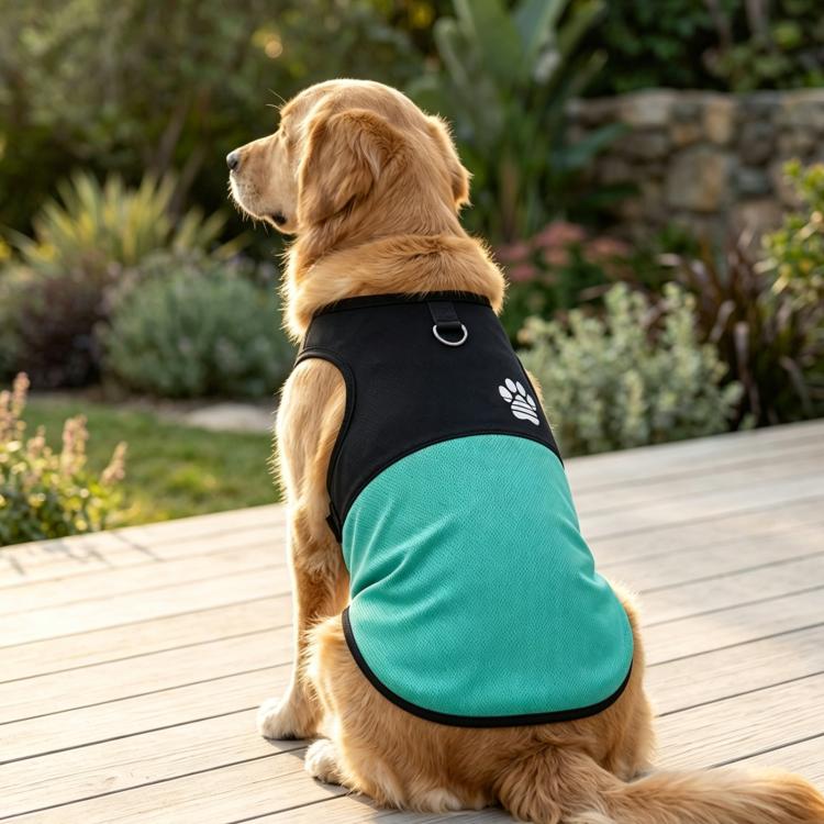 Color Block Dog Vest With Paw Print, Breathable Mesh Pet Harness Vest With Leash Attachment, Size: 2XL