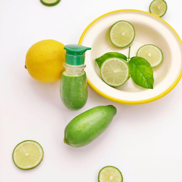 LsCook 2-Piece Set Lemon Manual Juicer - Blister Pack Yellow+Green
