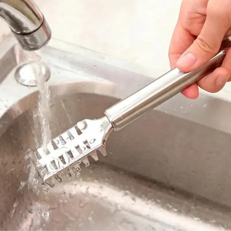 LsCook Square Stainless Steel Fish Scaler