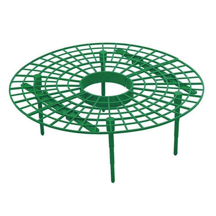 Strawberry Supports Keep Fruit Elevated to Avoid Ground Rot Strawberry Growing Cradles - Green