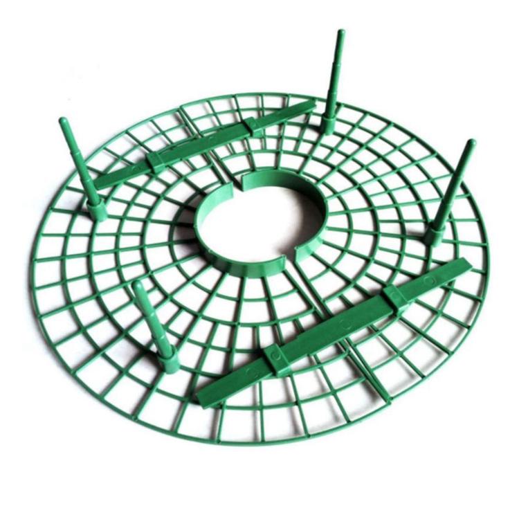 Strawberry Supports Keep Fruit Elevated to Avoid Ground Rot Strawberry Growing Cradles - Green