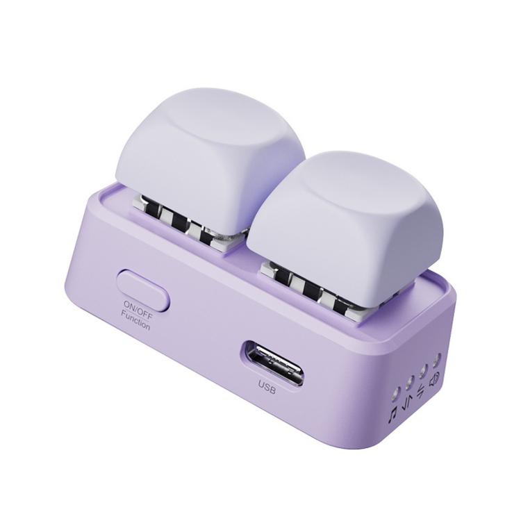 Hanlinyue 2-Key High-Speed Switch Keyboard Bluetooth Page Turner, Color: Purple For KOBO