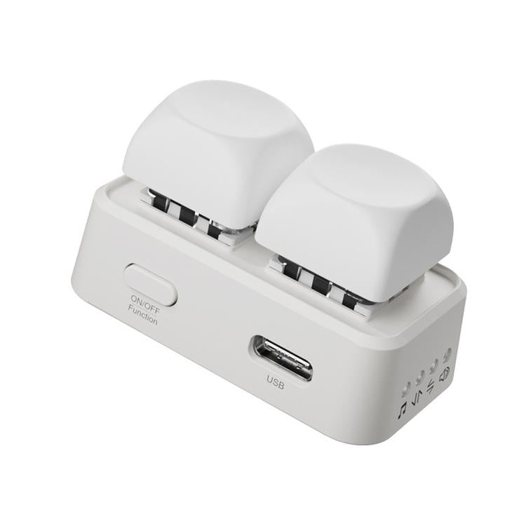 Hanlinyue 2-Key High-Speed Switch Keyboard Bluetooth Page Turner, Color: White For E-book