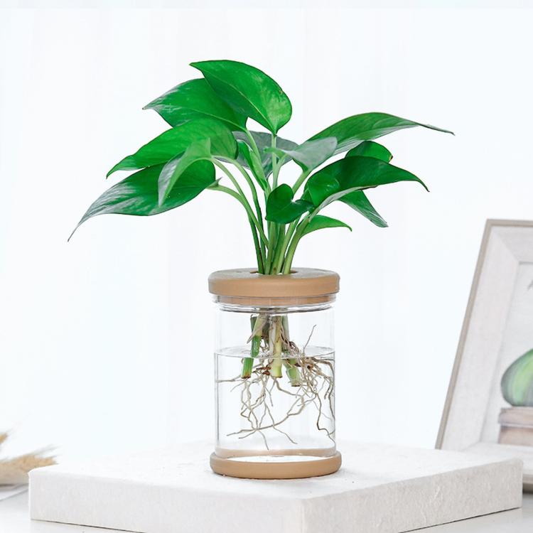 PET Plastic Hydroponic Planter Clear Self-Watering Plant Pot with Soft Silicone Plug & Non-Slip Base, Shatterproof Desktop Vase and Mini Fish Bowl for Pothos, Ivy, Herbs - NO.83