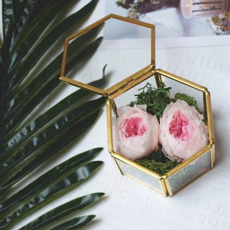 Mini Hexagon Geometric Wedding Ring Jewlry Box