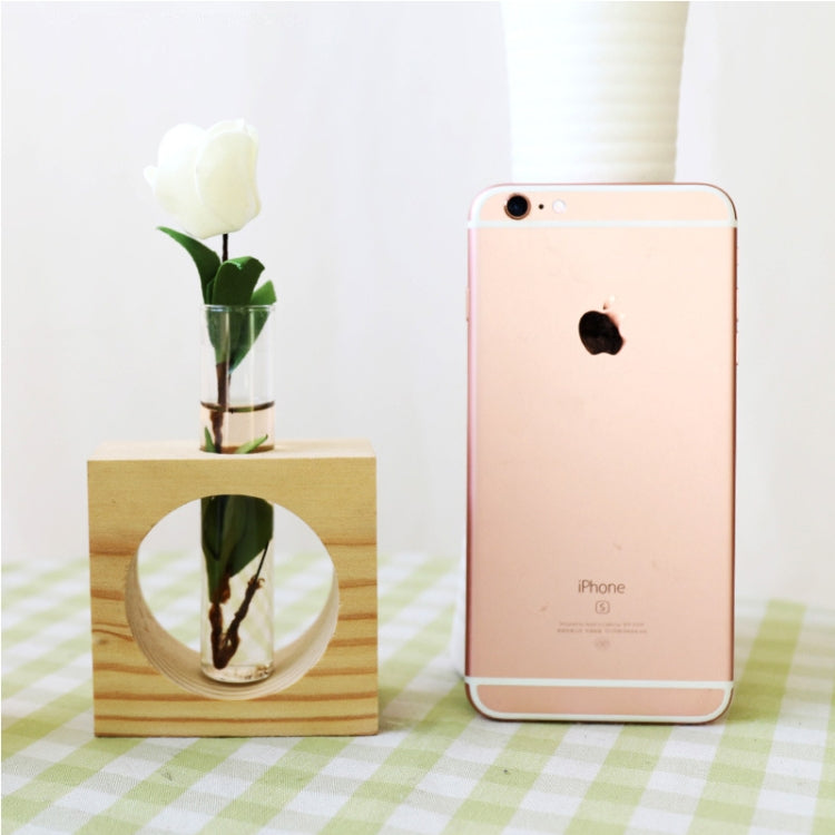 Modern Style Glass Tabletop Plant Bonsai Glass Test Tube Flower Decorative Vase