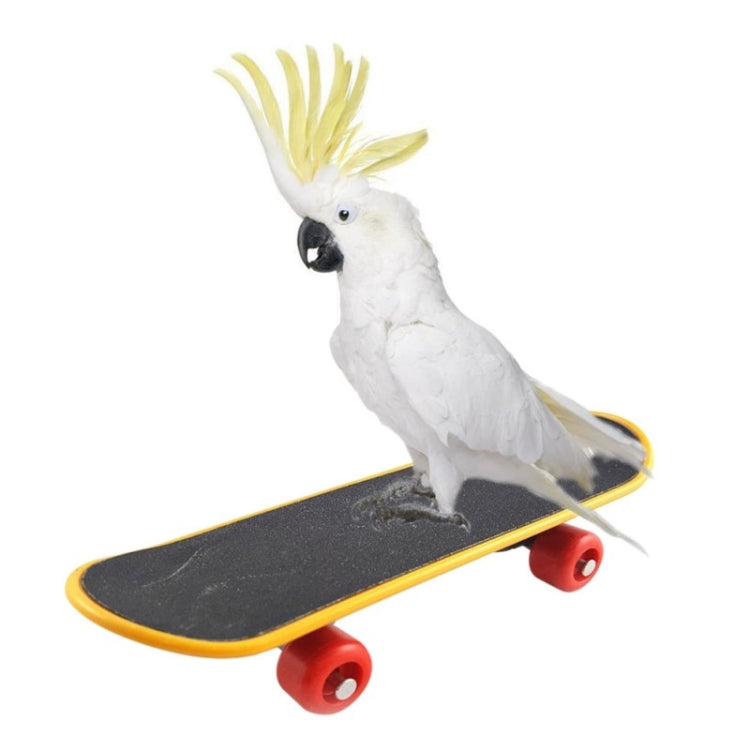 Pet Bird Toys Parrot Intelligence Mini Skateboard Toy Stand Perch Bird Training Toy