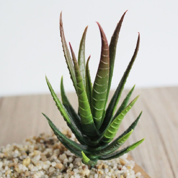 Artificial Mini Aloe Plastic Plants Craft Floristry Landscape Garden Family Office Decoration