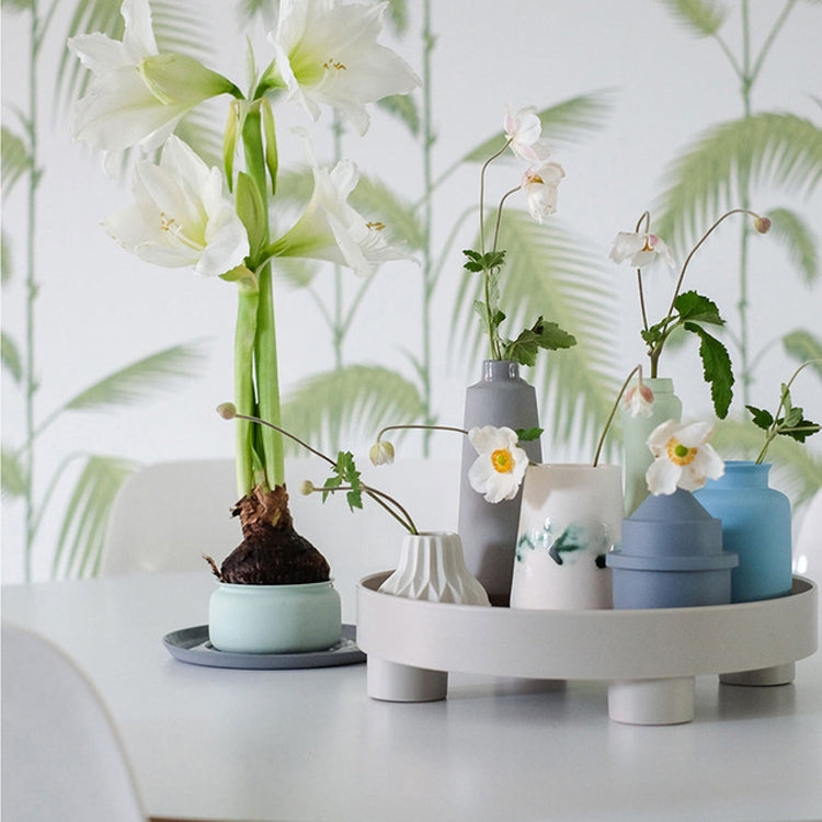 Multifunctional Storage Fruit Tray Cup Perfume Debris Desktop Decoration Plate Tray