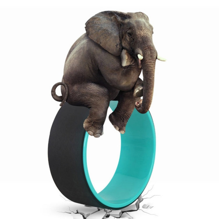 TPE + Alloy Yoga Wheel Back Training Tool
