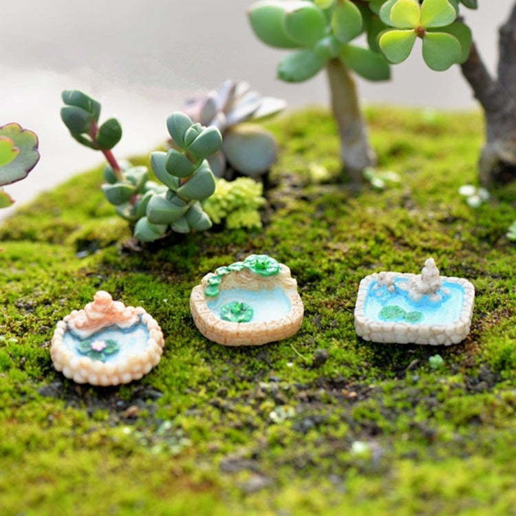 3 PCS Moss Micro-landscape Pools Meaty Ornaments Random Style Delivery
